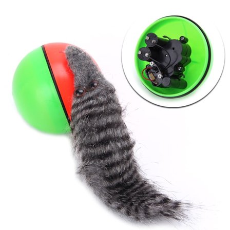 Morsom Beaver Ball Dog for Chase Ball Leke for Cat Interactive Toys Vanntett Auto