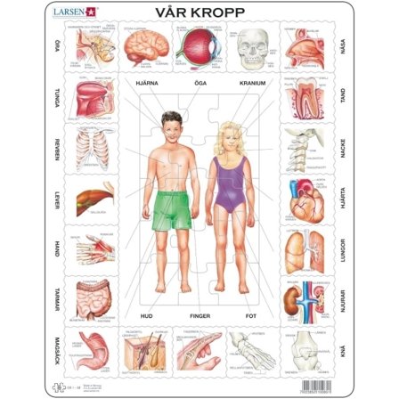 Kehopalapeli, Our Body - Larsen