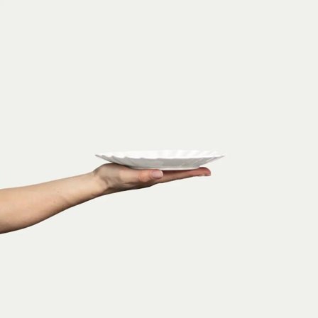 Mateus Oyster Tallerken Hvit Ø20