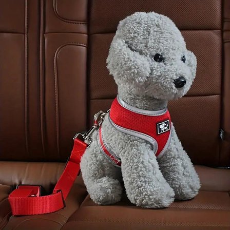 Hundbilsbälte I Justerbart I Hundsäkerhetsbälte I Hundbilsbälte I Röd - Djurvänligt