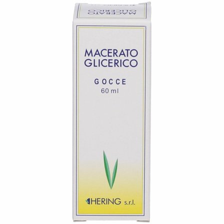 Hering Sequoia Gig Germogli Macerato Glicerico 60ml