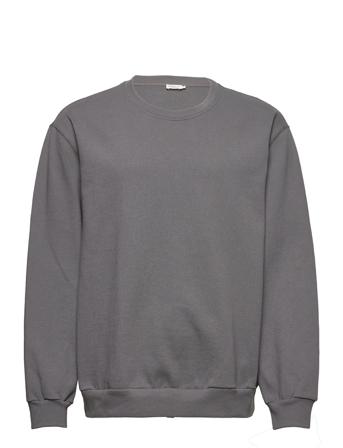 M. Cedric Sweatshirt Sweatshirt Trøje Grå Filippa K