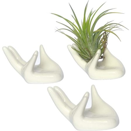 3 st Air Plant Holder Mini Hand Shape Ställ Tillandsia Söta Behållare Kruka