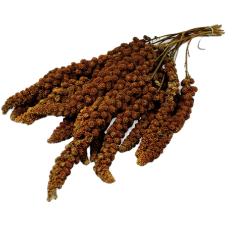 JR FARM - Hirsekolbe 250g - Fuglegodteri & kräcker - Naturgodbiter - ZOO.no