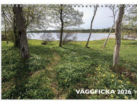 Burde Väggkalender Väggficka 2026 - Lyreco - Almanackor och kalendrar - Väggkalendrar - Bildkalendrar