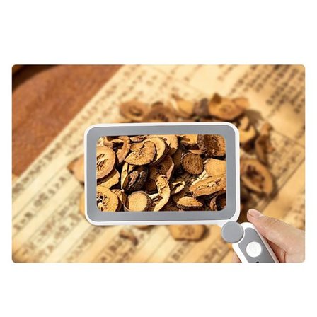 4X sammenklappelig lup med LED-lys og USB-opladning