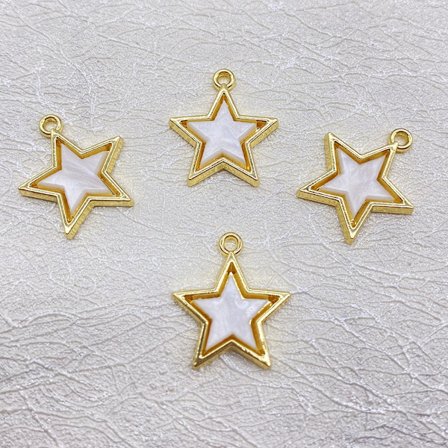 20 stk Shell Fem-spiss Star Charms Plated Star Shape anheng
