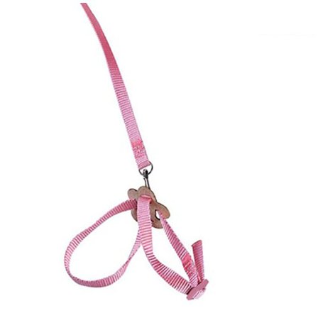 Parrot Bird Kaulapanta Valjaat Lizard Vetoköysi PINK