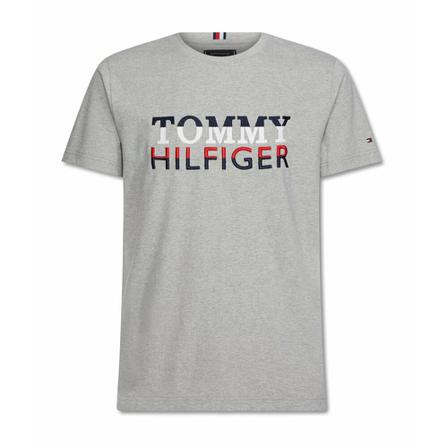 Tommy Hilfiger Corp Texture Embro Tee Grå, Herre T-shirts
