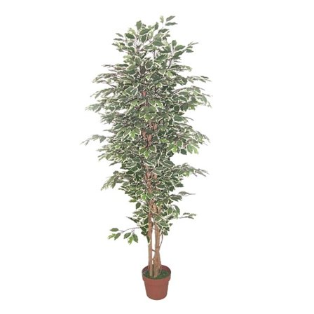 Ficus-keinopuu, 170 cm, vihreä polyesteri