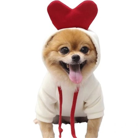 Valp Hund Hættetrøje Kat Hættetrøjer Dyretøj Trendy Frugt Trøje til Hund Kat Små Mellemstore Kæledyr, Gulerod Love