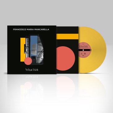 What i felt Mancarella Francesco