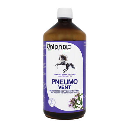 Union Bio Pneumo Vent Respiro Balsamico 1L