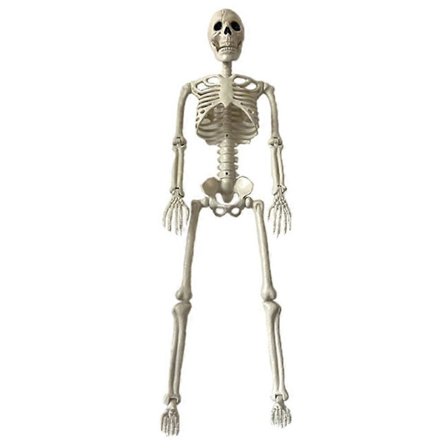 165 cm Full Kropp Halloween Party Poserbart Skjelett med Bevegelige Ledd Spøkelseshus Horror Prop