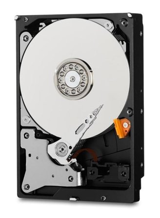 WD Purple Surveillance Hard Drive WD40PURZ - harddisk - 4 TB - SATA 6Gb/s