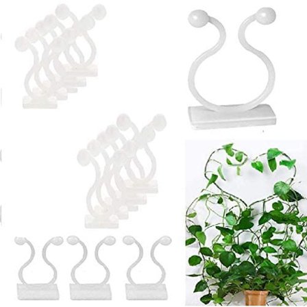 50-pakning planteklips selvklebende klatreplantevegg【DH】