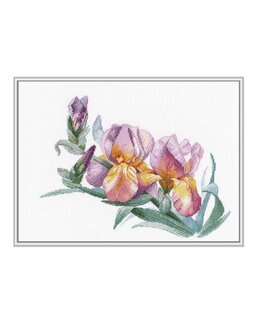 Broderikit Billede Gyldne iris - Oven