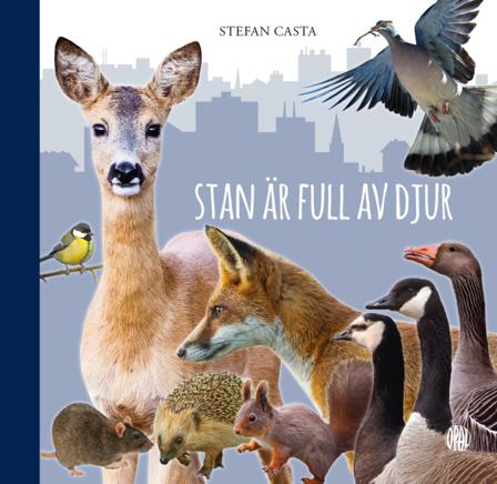 Stan är full av djur - Bok av Stefan Casta - Inbunden