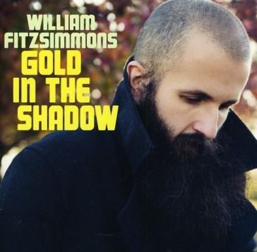 Gold in the shadow William Fitzsimmons