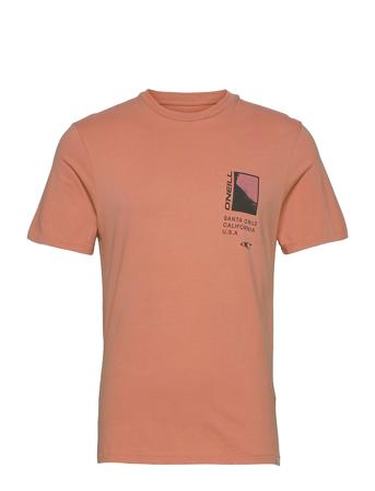 Lm Veggie Thumbnail T-Shirt T-shirts Short-sleeved Vaaleanpunainen O'neill