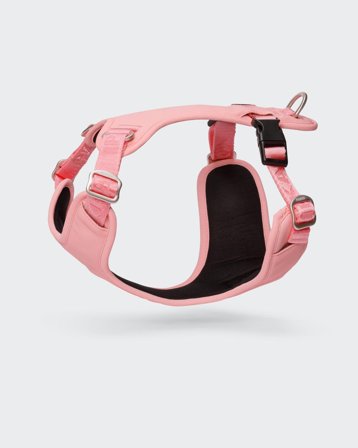 Paikka Visibility Hundesele, Rosa - S