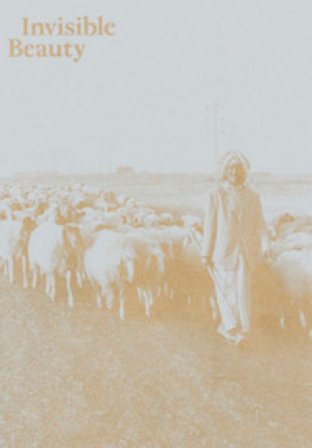 Invisible Beauty. The Pavilion of Iraq at the 56th Venice Biennale. Ediz. illustrata Chalabi Tamara