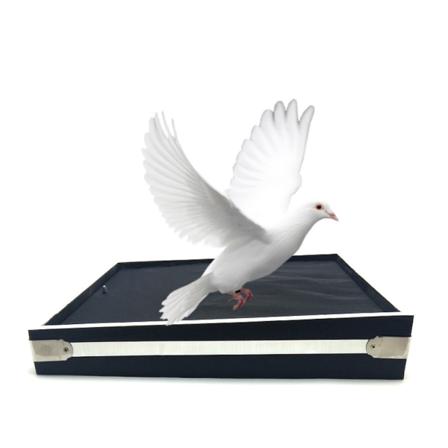 Magic Board Change Pigeon Magic Trick Magician Närbild Rekvisita Jippon Prank Tool