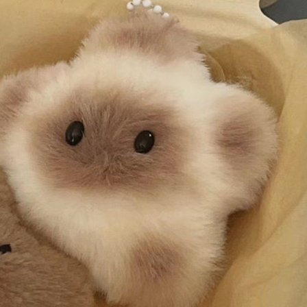 Capybara Plysch Doll Star Squeak Toy Cartoon Star Nyckelring Penda