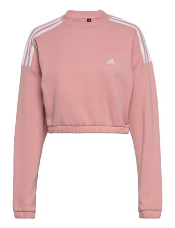 Hyperglam Crop Crew Sweatshirt W Sweatshirt Trøje Lyserød Adidas Performance