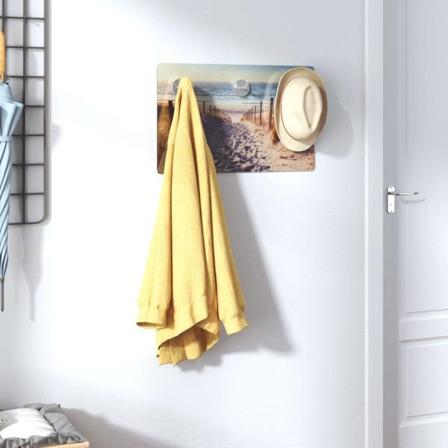 Vidaxl Väggmonterad Klädhängare 40x25 Cm Härdat Glas Strand Flerfärgsdesign