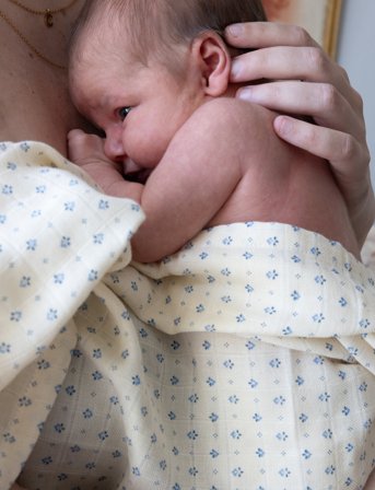 Cam Cam Copenhagen Muslin Cloth, Printed, 2-Pack - Gots - Cream - ONE SIZE