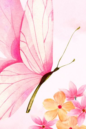 Pelcasa - Plakat Sommerfugl Elegance - Rosa - Posters - 70X100 - Fra Homeroom