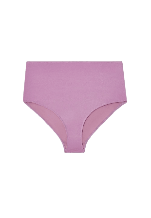 Understatement Highwaist Bikini Briefs Dam Lila S