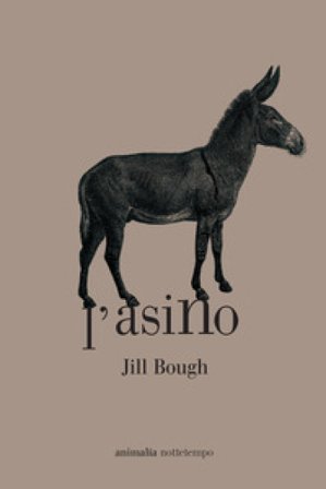 L'asino Jill Bough