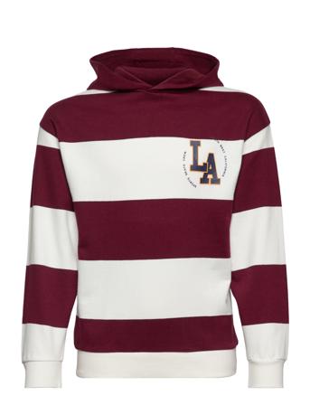 Collegetroja Academy Mango Multi/patterned