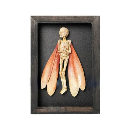 Gotisk indretning fotoramme Fairy Skeleton Witchy Decor 03 03
