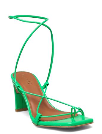 Bellini Green ALOHAS