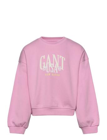 Gant Usa Voluminous C-Neck Tops Sweat-shirts & Hoodies Sweat-shirts Pink GANT