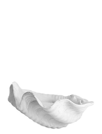 Shell Home Decoration Decorative Platters & Bowls Vit Mette Ditmer