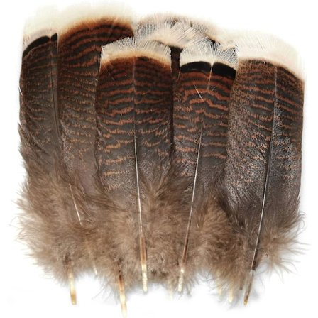 Naturliga kalkonfjädrar 20 st 15-20 cm/5,9-7,87 tum Dyrbara kalkonsvansfjädrar för gör-det-själv-dräkt huvudbonad