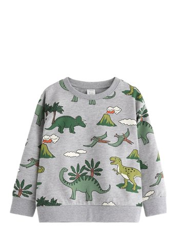 Lindex Sweatshirt Dino Aop - Grey - 128
