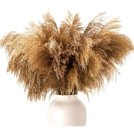 Kahvipöydän koriste kuivattu pampas-ruoho pörröinen sisustus-pampas-kukka-50-vartta pieni-pampas--pampas-ruoho-lyhyt