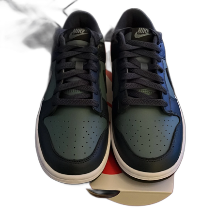 Nike Dunk low retro PRM