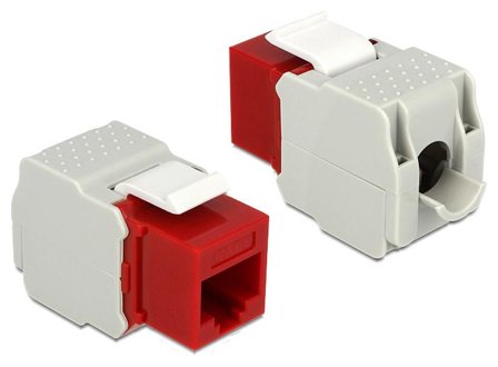 Delock Keystone module - modulinnlegg