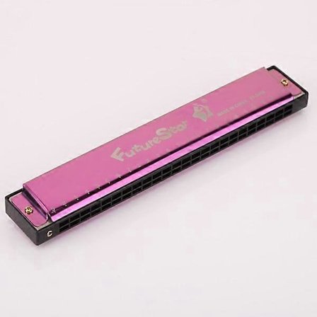 Set med 2 C-dur 24-håls polyfoniska färgmunspel med fodral för nybörjare och studenter