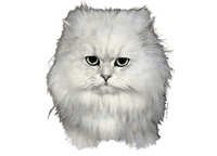Chinchilla - klistremerker
