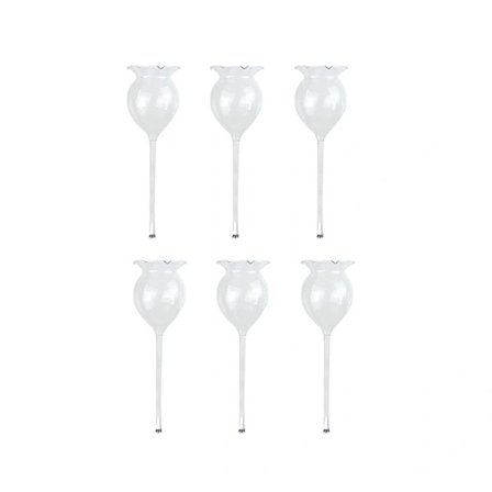 6 stk. Plantevanding Selvvandende Glober Selvvandende Håndblæst Klart Glas Plantevandingslampe Til Indendørs