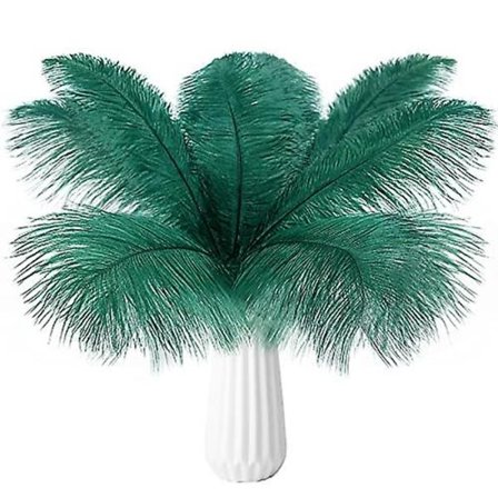 10 st strutsfjädrar naturlig bulk