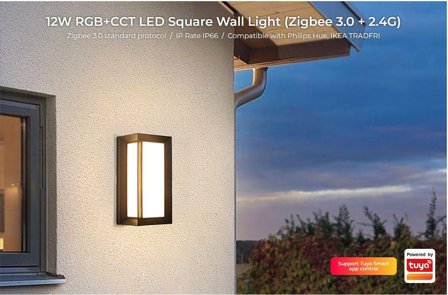 SYNERGY 21 Garden Wall Washer 12W RGB+CCT 2.4G IP66 *Milight/Miboxer* 24V