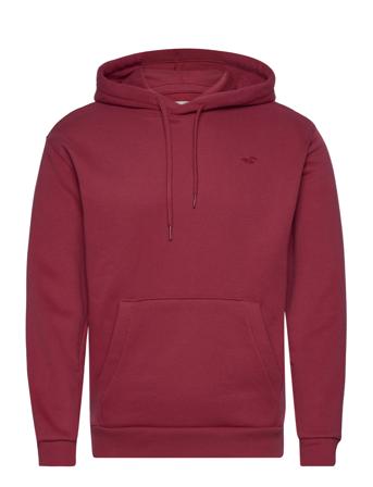 Hco. Guys Sweatshirts Burgundy Hollister